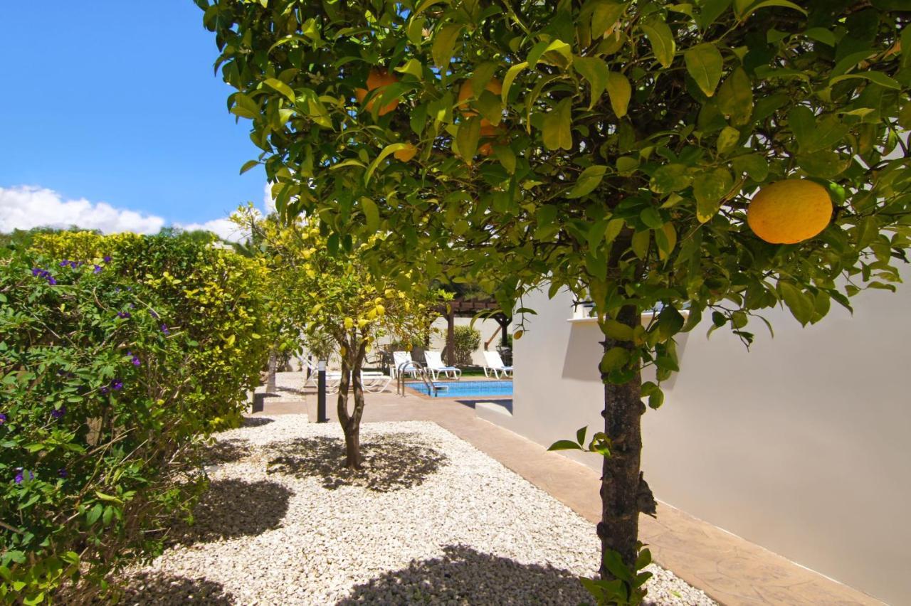Nissi Adamite Villa Айя-Напа Экстерьер фото